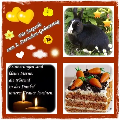 Condolence image of Ilse mit Tier-Sternlein Maja, Jule, Gismo, Fee und Minna im Herzen