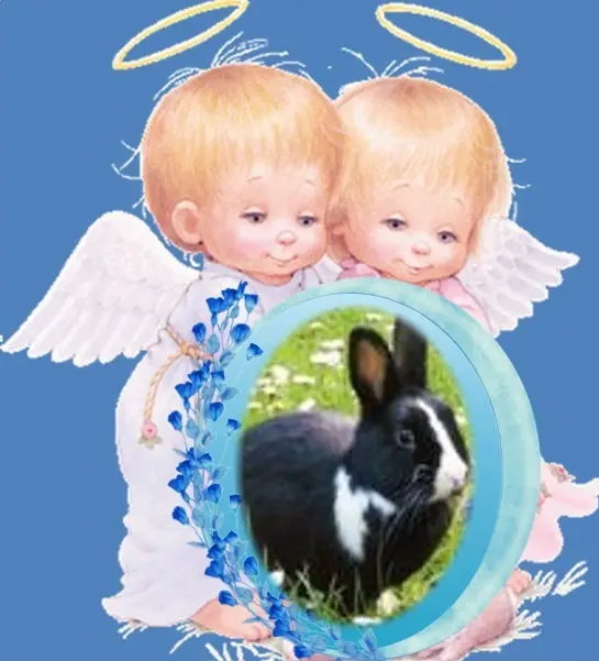 Condolence image of ❤️❤️❤️JASPERCHEN❤️❤️❤️