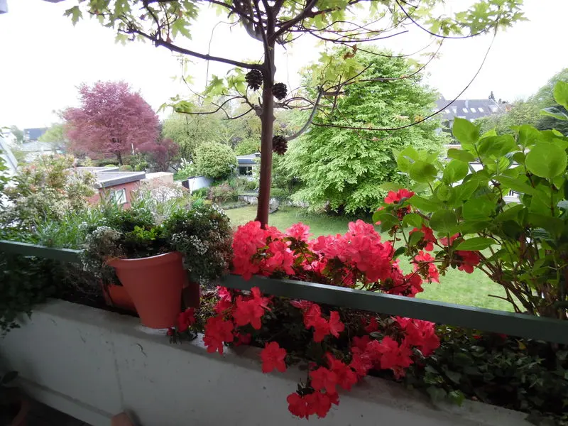 Condolence image of Irene mit Jimmy im Herzen