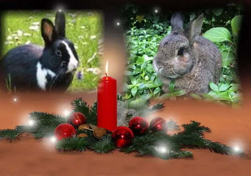 Condolence image of ❤️1. Advent❤️