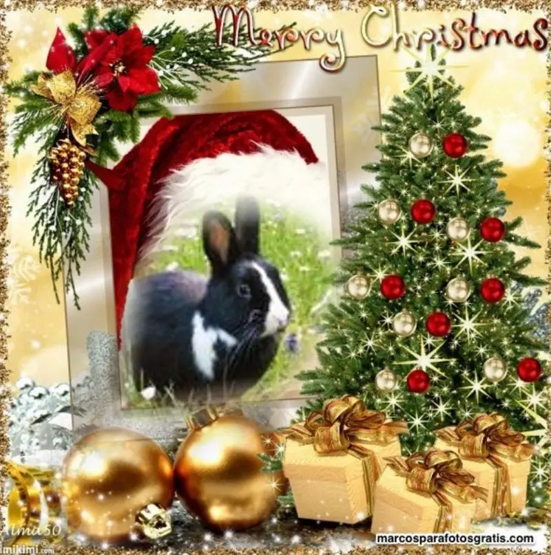Condolence image of ❤️WEIHNACHTEN❤️❤️❤️