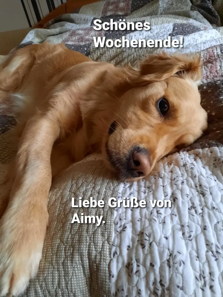Condolence image of Unbekannt