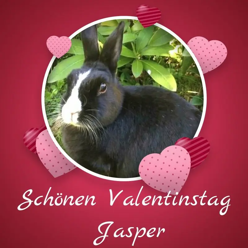 Condolence image of Sabine mit Kaspar tief im Herzen