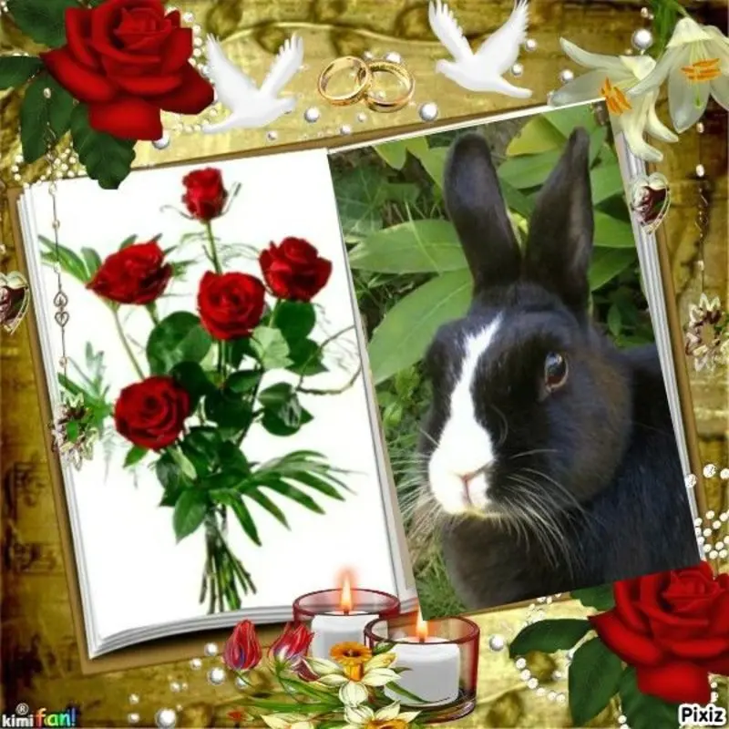 Condolence image of Jutta mit Purzel tief im Herzen✟08.05.2016 