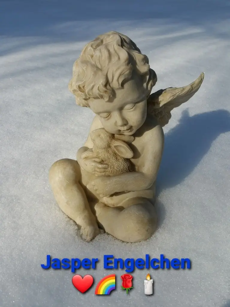 Condolence image of Tanja mit Timmy im Herzen 