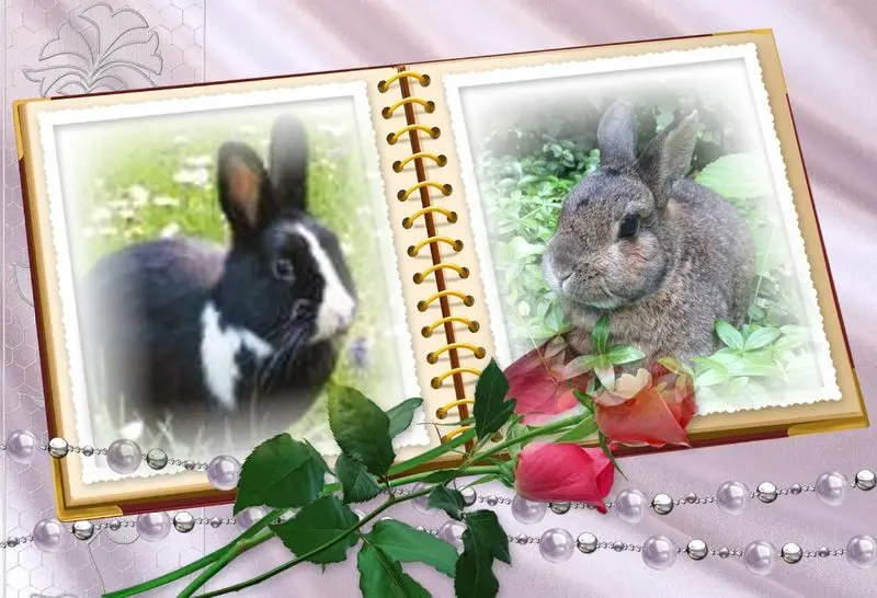 Condolence image of DANKE SCHON❤️❤️❤️