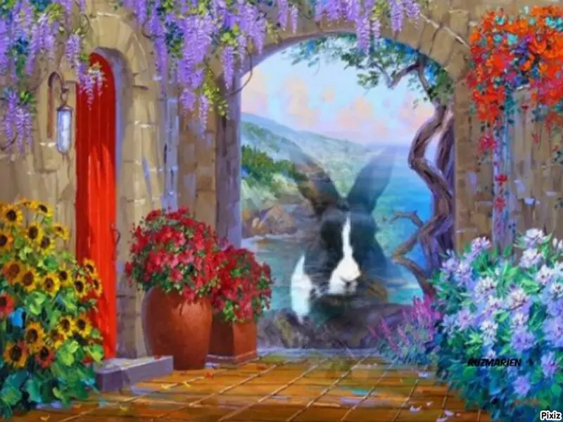 Condolence image of Sternchenpost ⭐