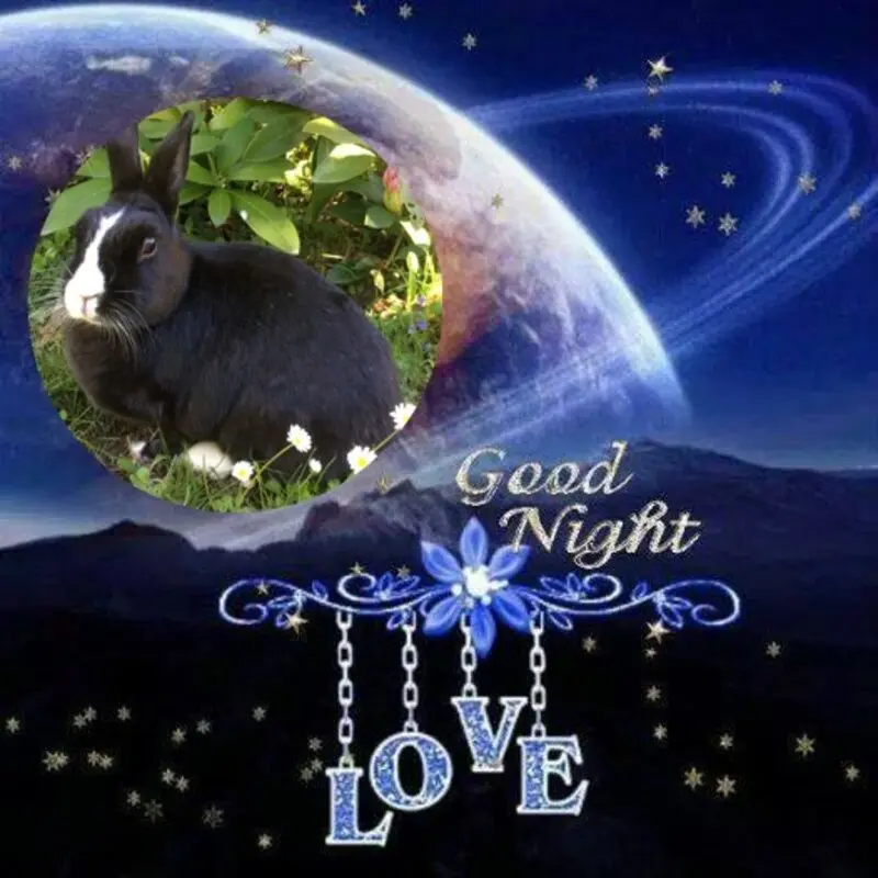 Condolence image of Gute Nacht❤️❤️❤️