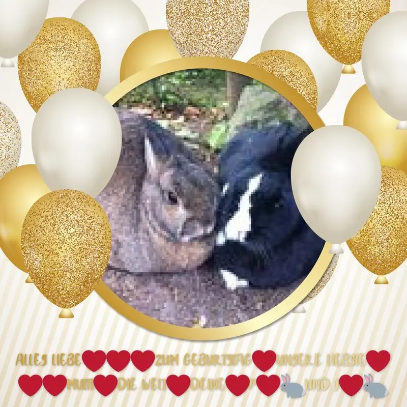 Condolence image of Fur Mutti❤️Drinchen❤️