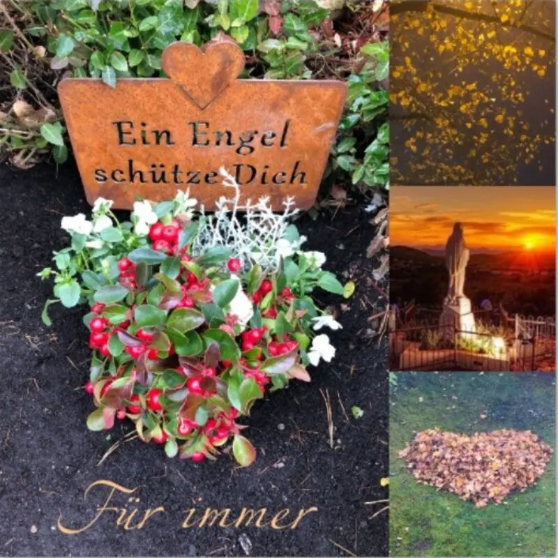 Condolence image of Zum 23. Sternchen-Tag
