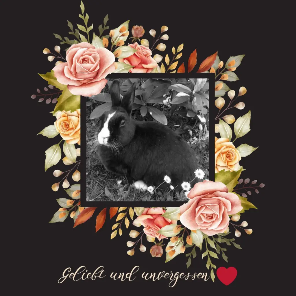 Condolence image of Sternchenpost ⭐