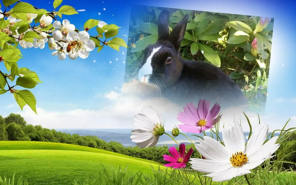 Condolence image of Jutta mit Purzel tief im Herzen  ✟ 08.05.2016 
