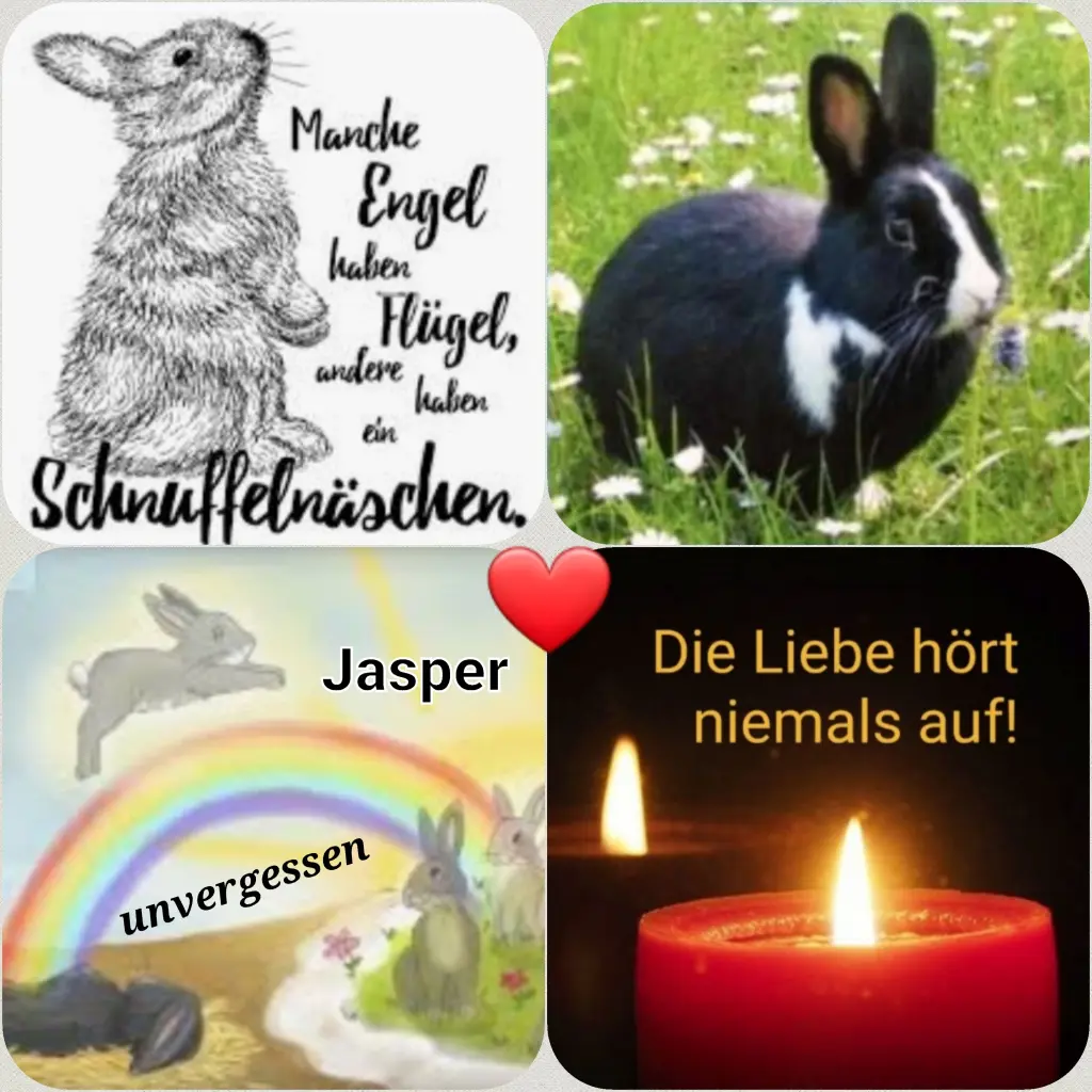 Condolence image of Birgit