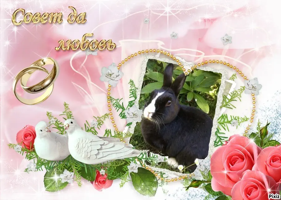 Condolence image of Sternchenpost ⭐