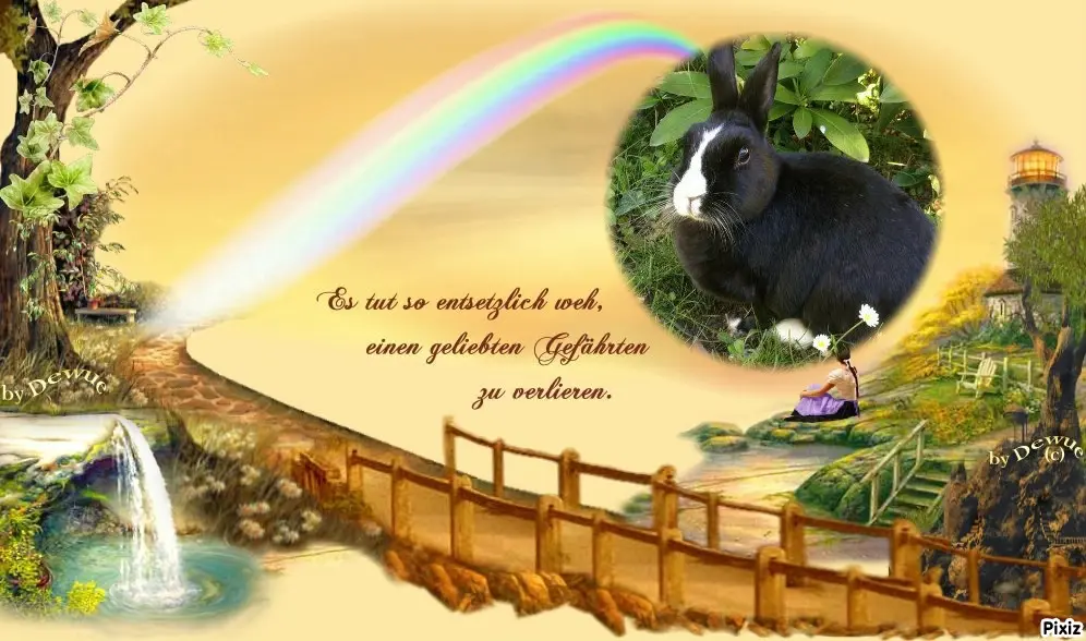 Condolence image of Tanja mit Timmy im Herzen 