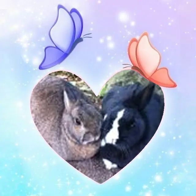 Condolence image of Freitags❤️Rosen❤️❤️❤️❤️❤️❤️❤️❤️