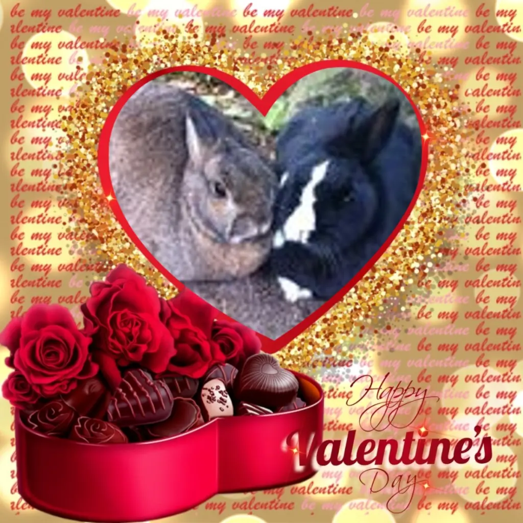 Condolence image of Valentins❤️Rosen❤️❤️❤️❤️❤️❤️❤️❤️