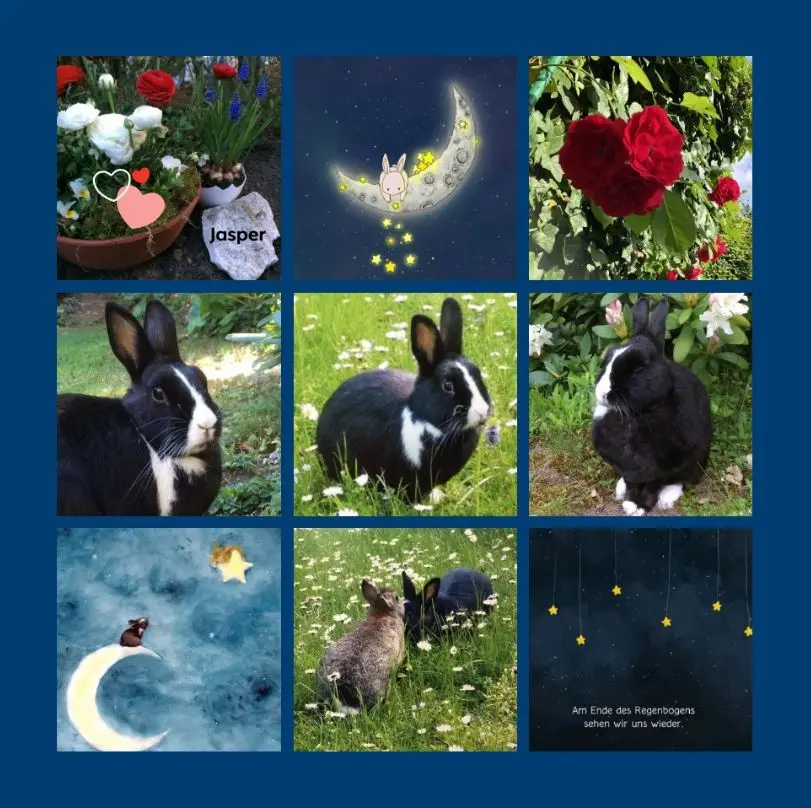 Condolence image of 5 Jahre ohne dich