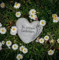 Condolence image of Rosen zum 5. Sternchen-GT. für Jasper v. Brigitte