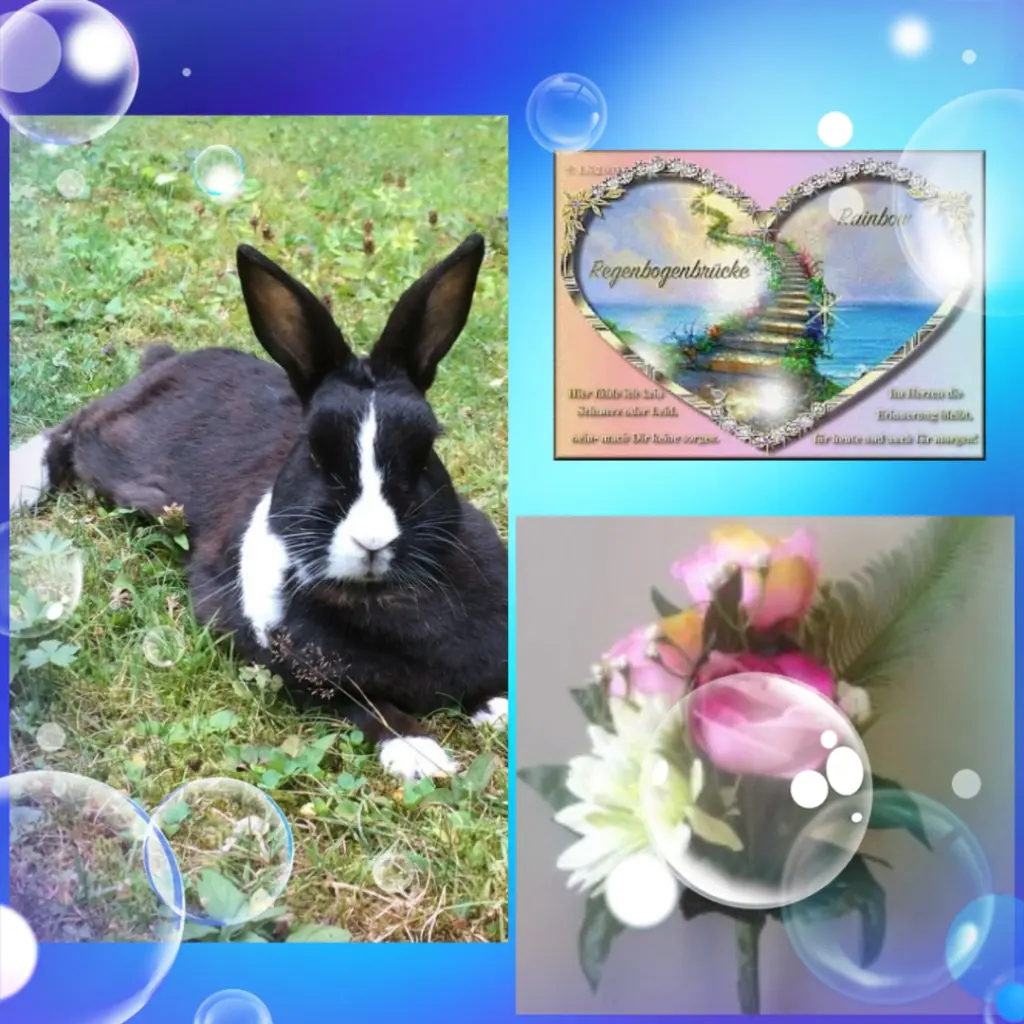 Condolence image of ❤️Eike und Edeltraud ❤️ 