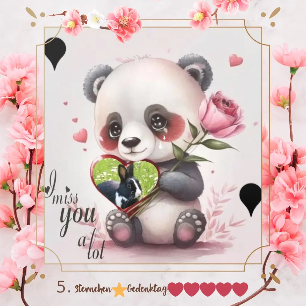 Condolence image of 5.Sternchen❤Gedenktag❤❤❤❤❤