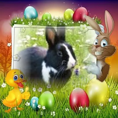 Condolence image of Frohe❤️❤️❤️Ostern❤️