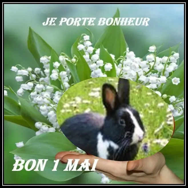 Condolence image of 1.Mai❤️Rosenchen❤️❤️❤️