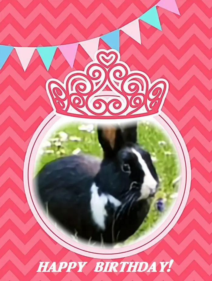 Condolence image of Fur Jasperchen❤️⭐️