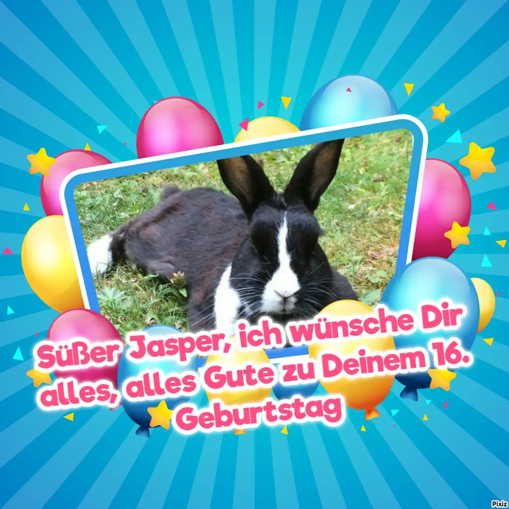 Condolence image of Tanja mit Timmy im Herzen 