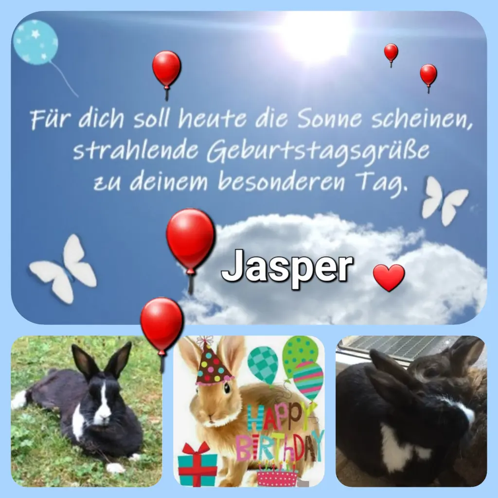 Condolence image of Birgit 
