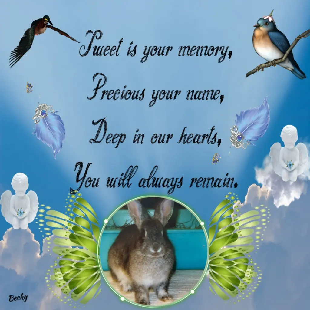 Condolence image of Fur Malenchen❤️⭐️