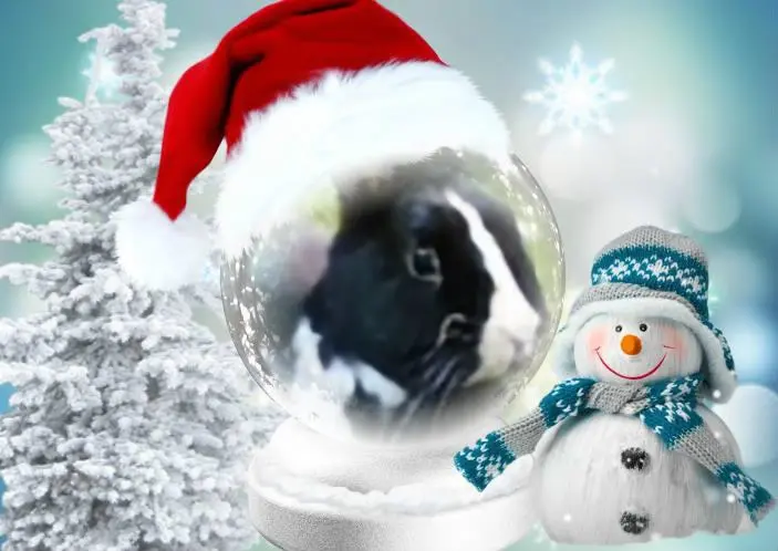 Condolence image of Nikolaus❤️fur Jasperchen❤️⭐️