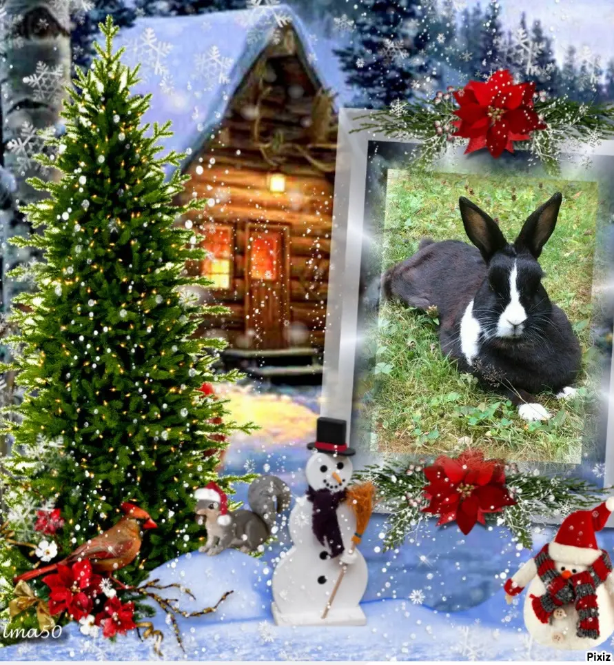 Condolence image of Tanja mit Timmy im Herzen 