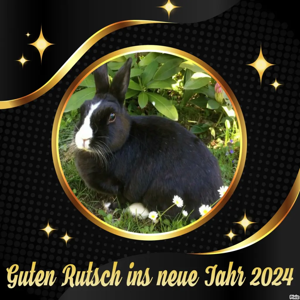Condolence image of Tanja mit Timmy im Herzen 