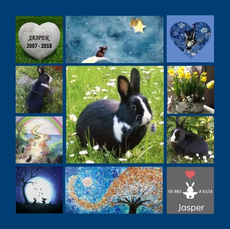 Condolence image of In ewiger Liebe 