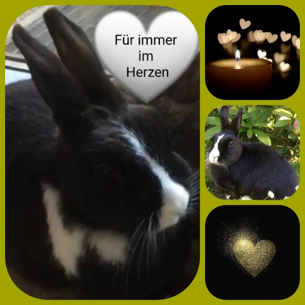 Condolence image of Birgit