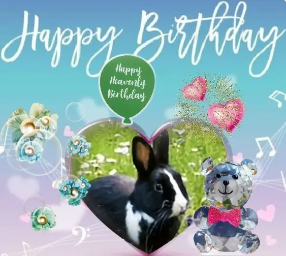 Condolence image of 17.Geburtstag❤️❤️❤️❤️❤️❤️❤️❤️❤️❤️❤️❤️❤️❤️❤️❤️❤️