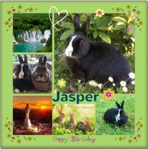 Condolence image of Rosen für Jasper zum 17. Geburtstag