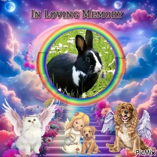 Condolence image of ❤️❤️❤️❤️❤️❤️❤️❤️❤️❤️❤️❤️
