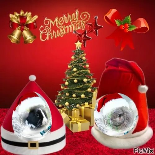 Condolence image of Frohe Weihnachten❤️⭐️❤️