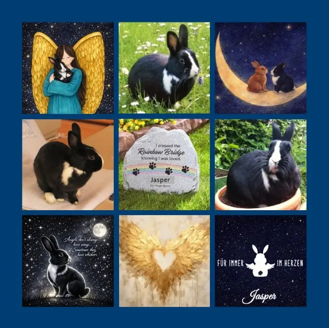 Condolence image of In tiefer Liebe zum 8. Sternchentag