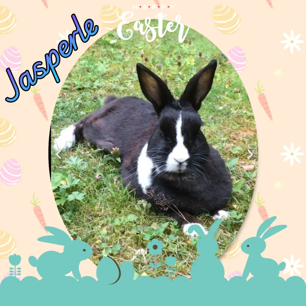 Condolence image of 💐Frohe Ostern 💐 Jasperle ❤️
