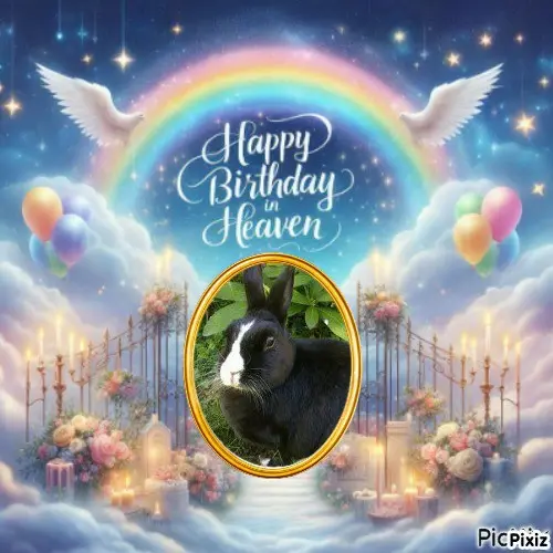 Condolence image of Tanja mit Timmy im 💖🐈🐾