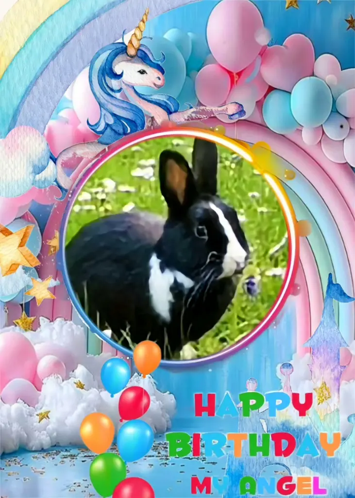 Condolence image of ❤️🐇❤️⭐️🫶🫶🫶💋💋💋🎂🎁🎂🌹🌹🌹