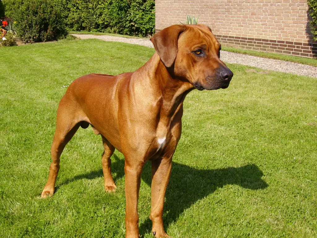 Condolence image of Britta