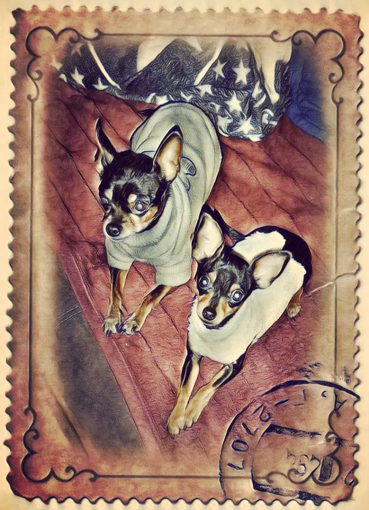 Bild von Tini