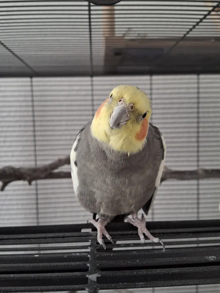 Auf der Klappe wurde viele Stunden geschlafen