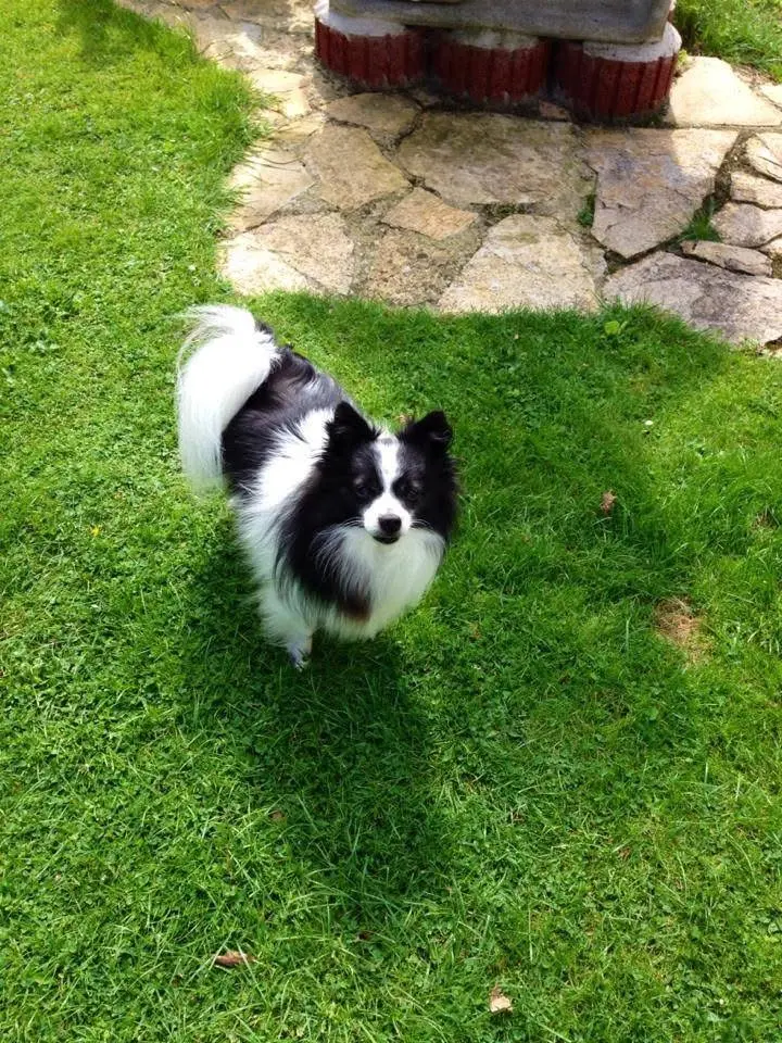 Condolence image of Barbara Dilge