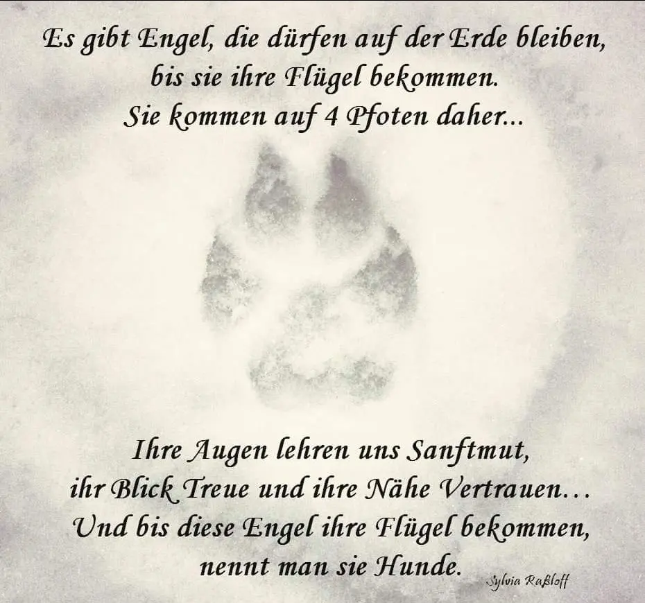 Condolence image of Ludmilla Lebus