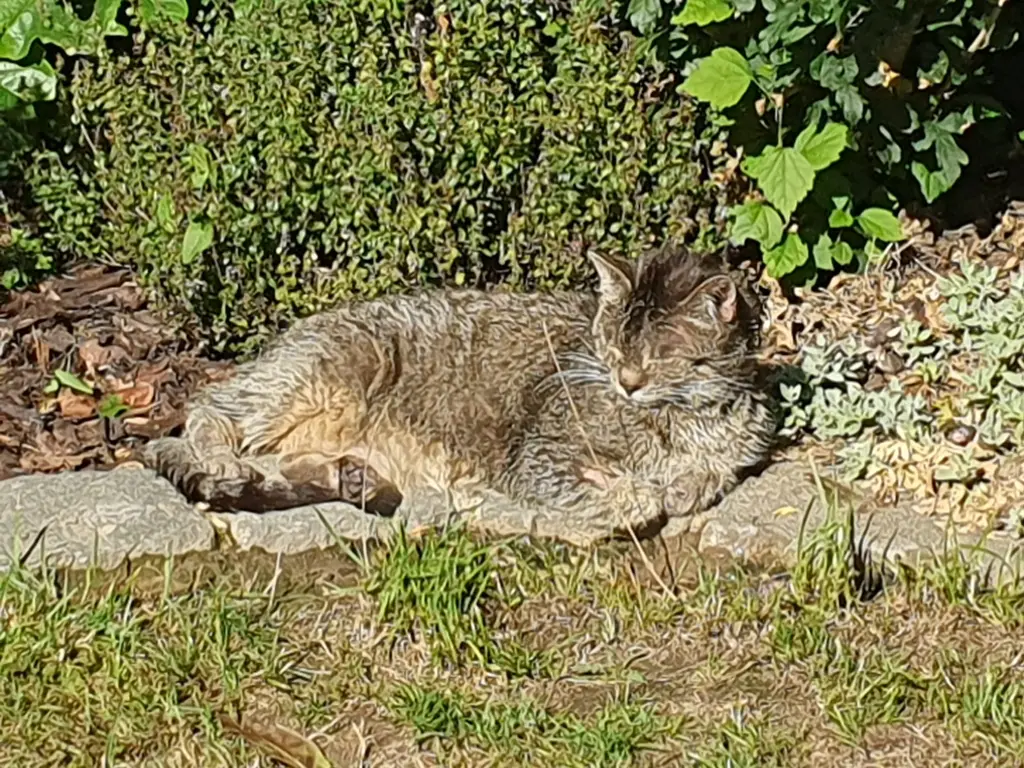 Condolence image of Gisela